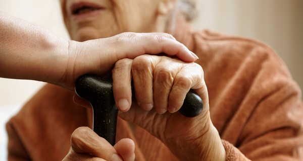 ГПУ задержала аферистов, которые 