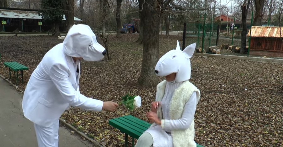 Директор одесского зоопарка снялся в роли собаки в музыкальном клипе