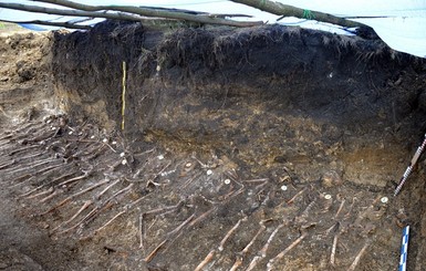 В Винницкой области нашли самую большую братскую могилу казненных воинов УНР
