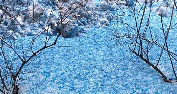 Фото: в Санкт-Петербурге выпал синий снег