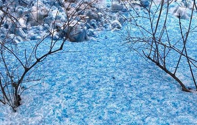 Фото: в Санкт-Петербурге выпал синий снег