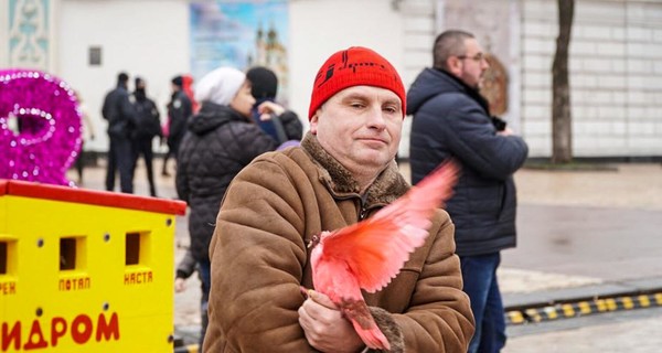 Киевлянам предлагают сфотографироваться с разукрашенными голубями