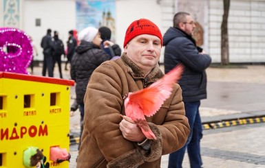 Киевлянам предлагают сфотографироваться с разукрашенными голубями