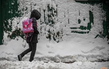 Декабрьское тепло в Украине побило 136-летний рекорд