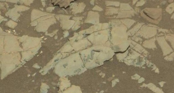 На снимках Марса обнаружили странные окаменелости