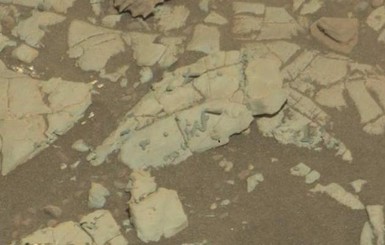 На снимках Марса обнаружили странные окаменелости