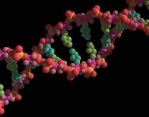 ДНК можно будет сравнить в Интернете 