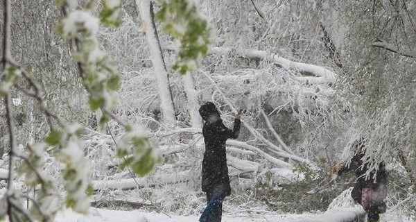 Сегодня днем, 10 января, в Украине от 3 мороза до 8 тепла