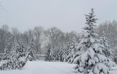 В Луганской области выпало полметра снега 