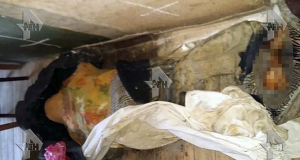В квартире пенсионерки, кроме мумий, нашли останки животных