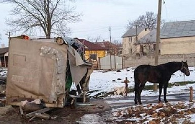 В аварии на трассе Киев-Чоп погиб конь