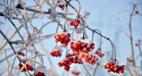 Сегодня днем,29 января, в Украине резко потеплеет