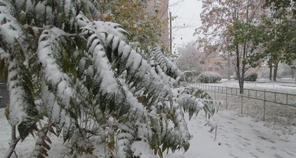 Завтра, 8 февраля, Украину накроет снег, местами сильный
