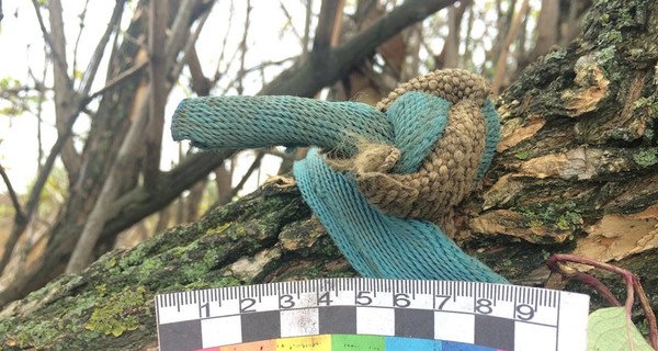 В Никополе отдали под суд живодера, повесившего собаку