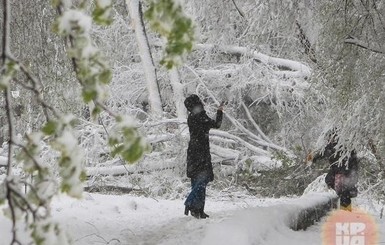 Сегодня днем,14 февраля, снег пройдет на западе и востоке страны