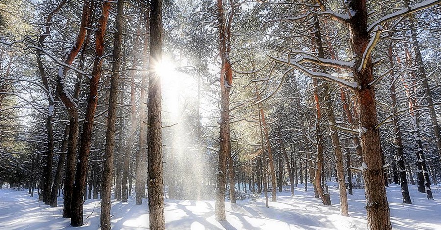 Запорожский фотохудожник показал зимнюю сказку на Хортице