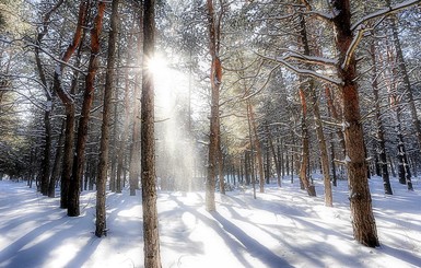 Запорожский фотохудожник показал зимнюю сказку на Хортице