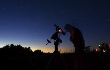 Гороскоп на год Жёлтой Собаки: Тигры получат деньги, а Крысы конфликты