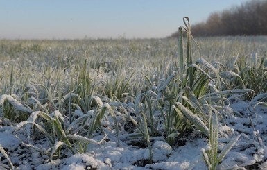 Завтра, 17 февраля, ночью до 7-10 градусов мороза