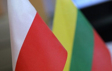 Литва заявила о поддержке Польши в споре с ЕС