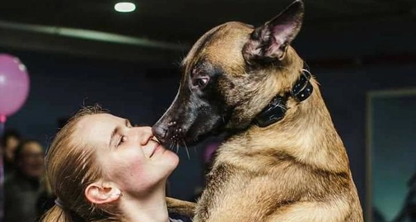 Собака-донор, которая спасает других собак