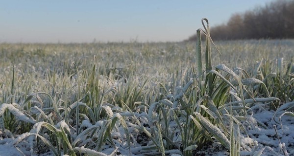 Сегодня днем, 20 февраля, в Украине морозы немного усилятся