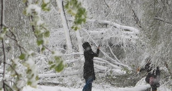 В воскресенье, 4 марта, в Украине пройдет снег, местами сильный