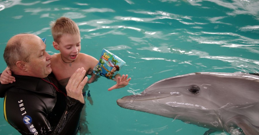 Плавать дельфином или волком рыскать?