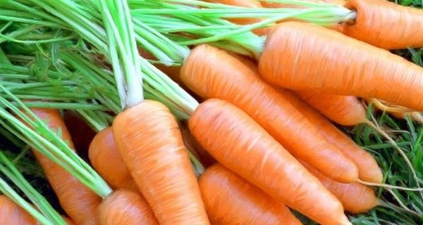Пять блюд из моркови, которые стоит попробовать