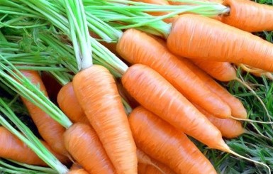 Пять блюд из моркови, которые стоит попробовать