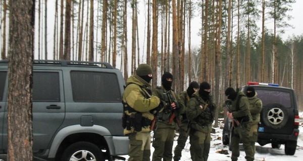 Не янтарем единым: на тропу войны вышли черные лесорубы