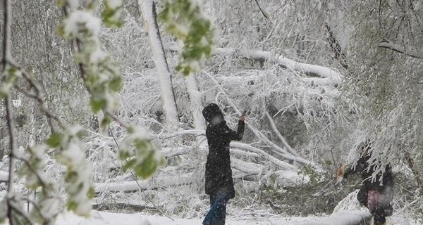 Завтра, 21 марта, Украину накроет снег и метели