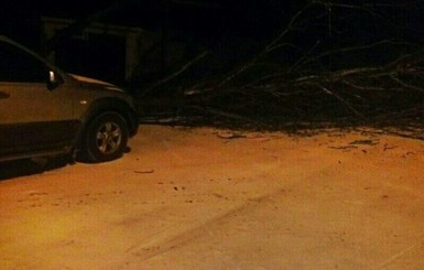 В Луганской обладминистрации объяснили, почему в регионе выпал оранжевый снег 