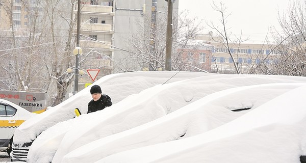 Хорошо ли вы помните стихи великих поэтов о природе