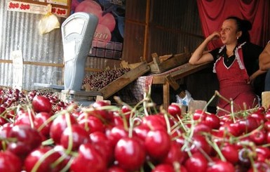 Из-за снега в марте украинцам обещают дешевые яблоки и черешню
