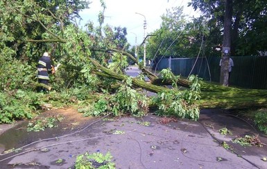 Ураганный ветер оставил без света жителей 192 населенных пунктов Украины