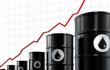 Введение квот на импорт нефтепродуктов приведет к росту цен и монополизации рынка – 