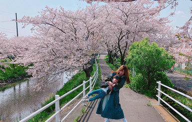 В Японии цветут сакуры: сказочные фото из соцсетей 