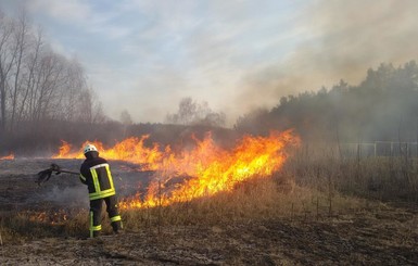 Украина в огне: из-за весенних палов погиб ребенок и обгорела женщина
