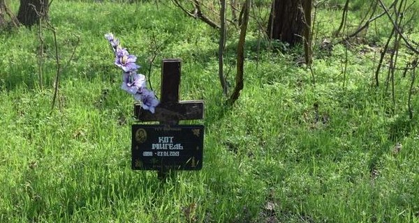 В Николаеве появилось кладбище для животных, на могилах ставят кресты
