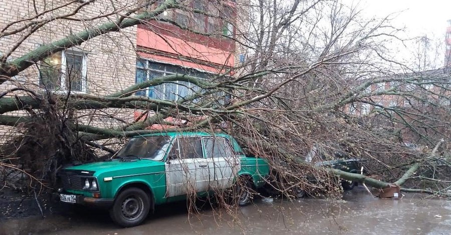 По Москве прокатился ураган, есть жертвы
