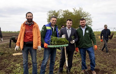 Киевлянин сажает деревья, чтобы остановить глобальное потепление