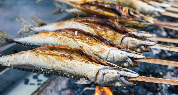Пять рецептов шашлыка из рыбы и морепродуктов