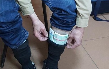 Украинец пытался провести в носках 25 тысяч евро