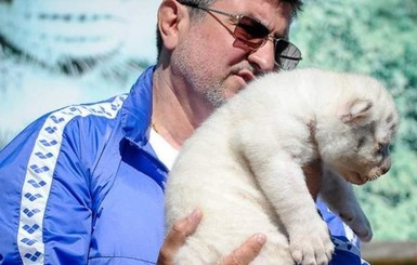 В Бердянске родился уникальный тигренок-альбинос