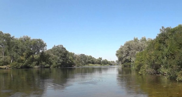 На Днепропетровщине утопленник 