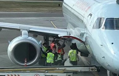 Из-за енота в Торонто разобрали самолет и задержали рейс на шесть часов