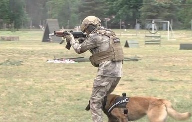 Украинский КОРД усилят собаками-штурмовиками