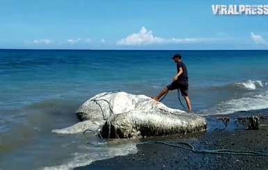 На пляж Филиппин выбросило неизвестное 