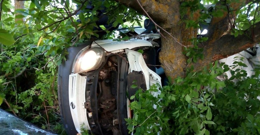 В Николаевской области пять человек погибли в ДТП с маршруткой